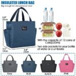Brivilas Insulated Lunch Box